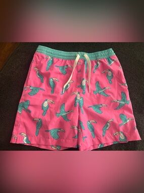 chubbies Teal & Pink Youth Swim Shorts